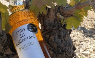 Nuestra mistela hace referencia a un entorno mágico, viñas de moscatel recogidas entre las cimas de Teulada y el mar mediterráneo.